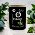 EUCALYPTUS & SPEARMINT - Funny Candle, Scented Coconut Soy Candle, 6oz